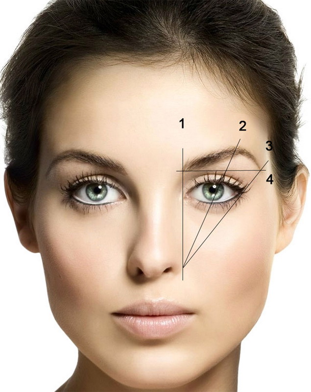 Eyebrow Geometry