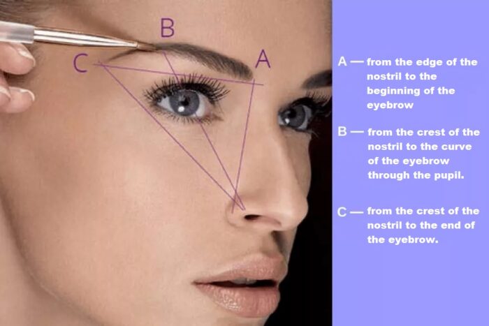 How to determine the borders of the eyebrows