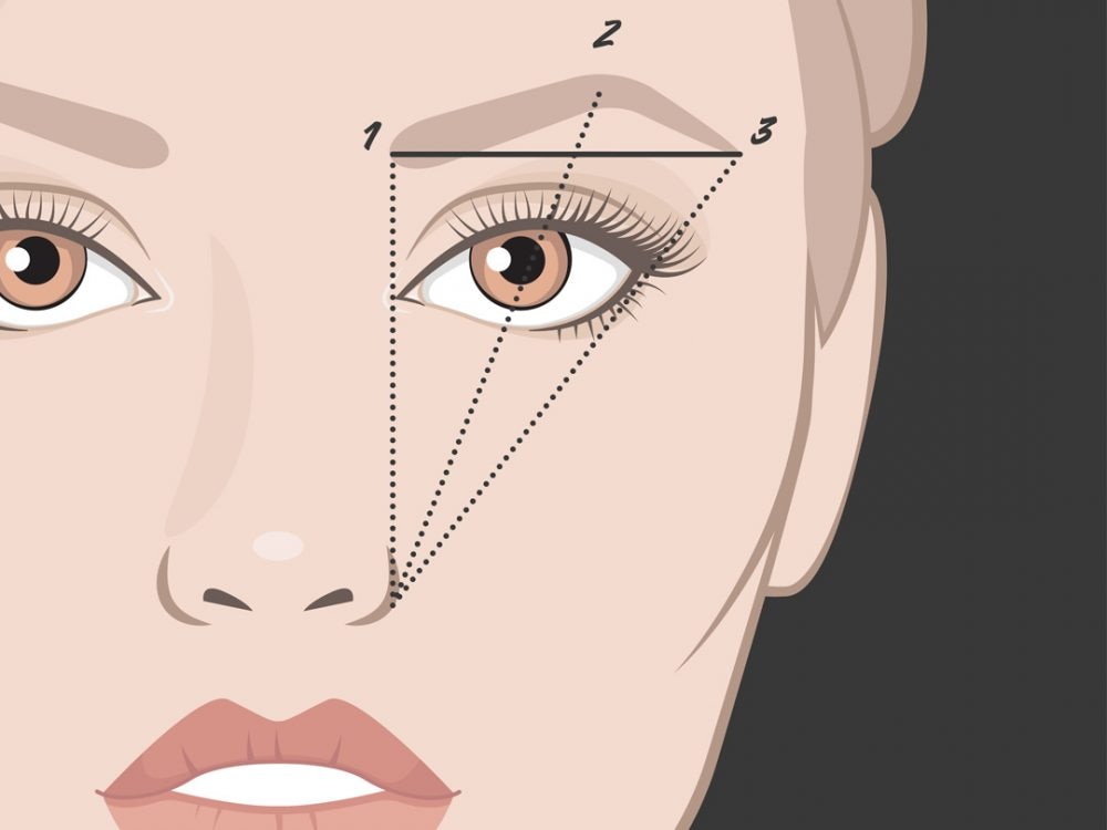 Eyebrows form points of interest